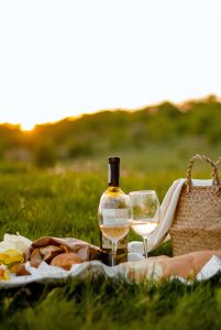 picnic | Unify Health Labs